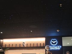 -梵猫·新养生(鹭江大同店)