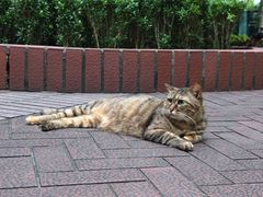 -晓港公园