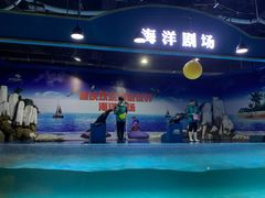 -重庆欢乐海底世界
