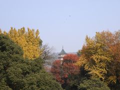 -灵谷景区