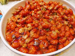 -广州万富希尔顿酒店-感趣自助餐厅·生蚝海鲜刺身