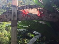 -梅州天地人花园酒店(梅县人民广场店)