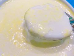 老酸奶-德禄酸奶(莫家街店)