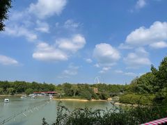 -宜兴龙背山森林公园
