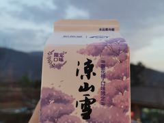 -邛海景风火盆烧烤(大石板古村二分店)