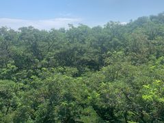 -南戴河国际娱乐中心