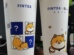 -PINTEA LAB(北京路店)
