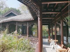 -日出青木