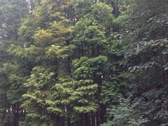 iphone_upload_pic-八大关景区