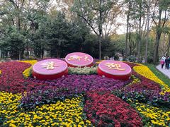 -上海金桥红枫万豪酒店-万豪中餐厅