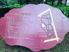 -陈家山荷花公园