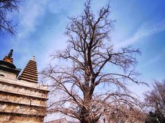 -北京石刻艺术博物馆(五塔寺)