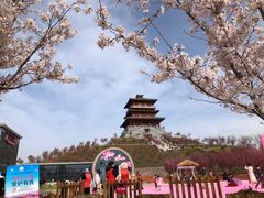 -古柏渡飞黄旅游区