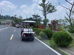 -江南天池
