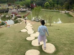 -铁山坪森林公园