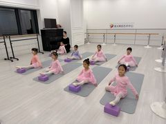 -星光舞蹈艺术中心•芭蕾舞•中国舞(太阳宫校区)