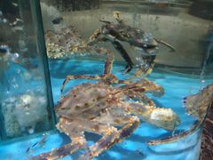 -上和臻品中国菜(花园街店)