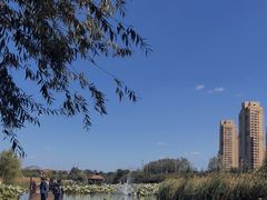-前关湿地公园