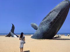 -烟台海昌鲸鲨海洋公园