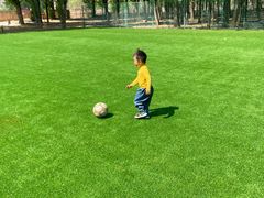 -穆湖渔村饭庄·住宿·钓鱼