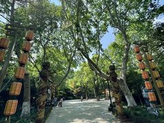 -杭州黄龙洞