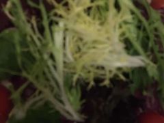 -逸林轩中餐厅(中信泰富朱家角锦江酒店)