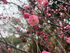 -丝绸小镇荻港古村