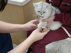 -瑞派康怡24h宠物医院·犬猫医疗中心·微创绝育(瑞景分院)