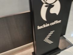 -瑞幸咖啡(巴黎春天陕西路店)