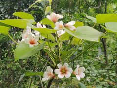 -金堂县云顶石城风景区