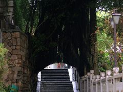 -乌山风景区