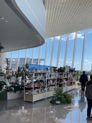 点击看大图 -IMON·HANSA潮玩玩偶毛绒玩具(通州万象汇店)