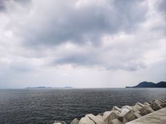 -杨梅坑