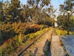 -永定河休闲森林公园