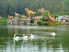 -南京银杏湖乐园