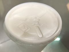 -洪馨椰子