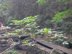 -九龙潭景区