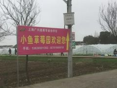 -小鱼草莓采摘园农家乐·小鱼餐厅