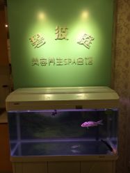 点击看大图 -静馨美容养生SPA会馆