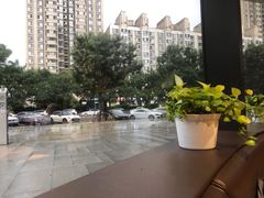 -Jamaicablue Coffeeshop(中央广场店)