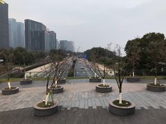 -钱江新城灯光秀