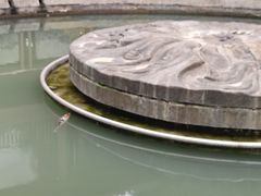 -成都市活水公园