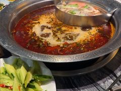 -老船舫·现做活鲜鱼馆(东郊记忆店)