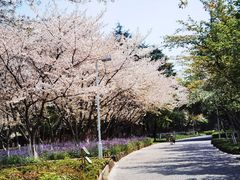 -白塘生态植物园
