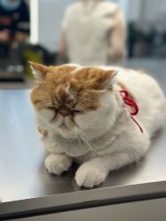 -蚂蚁造型俱乐部