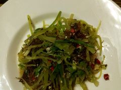 android_upload_pic-老茶树骊园生态川菜馆