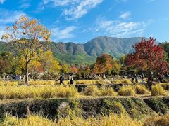 -塔川景区