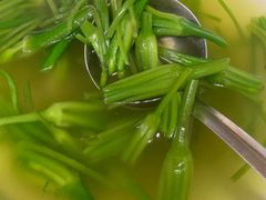 -阿鹏故事云南野生菌火锅(人民路店)