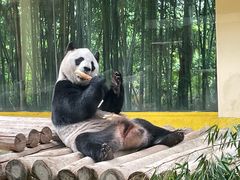 -杭州野生动物世界