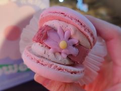 半熟花花马卡龙玫瑰双莓芝士味-好利来(红旗万达店)